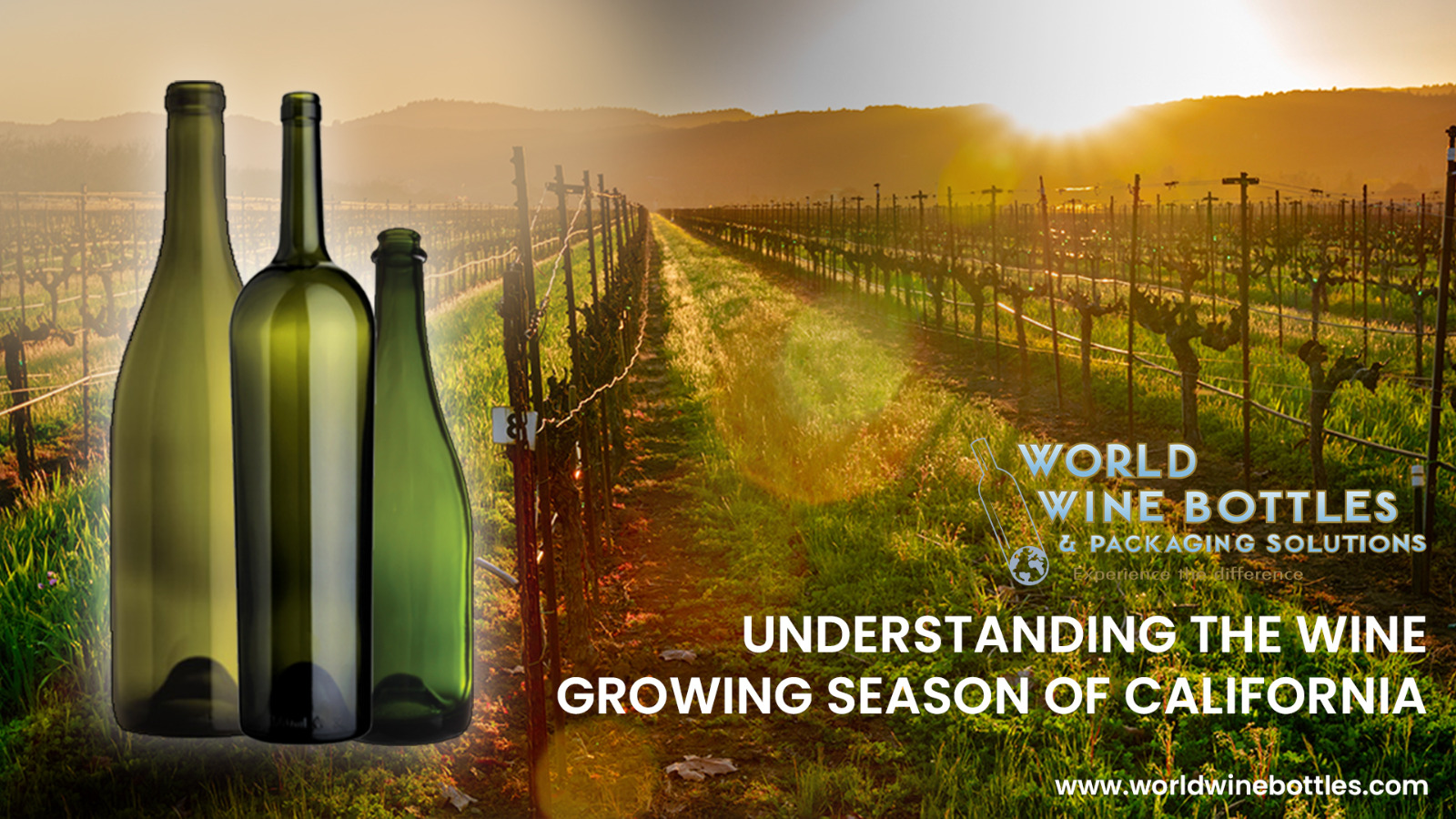 Understanding the Wine Growing Season of California